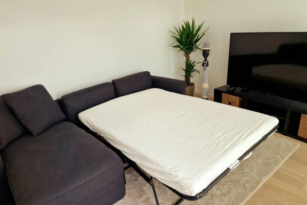 Magnifique Appartement Sur La Seine Alfortville Ngoại thất bức ảnh