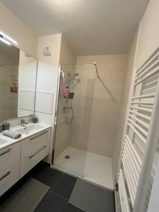 Magnifique Appartement Sur La Seine Alfortville Ngoại thất bức ảnh